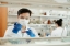 Fundraising for AIFA 2025 research grants